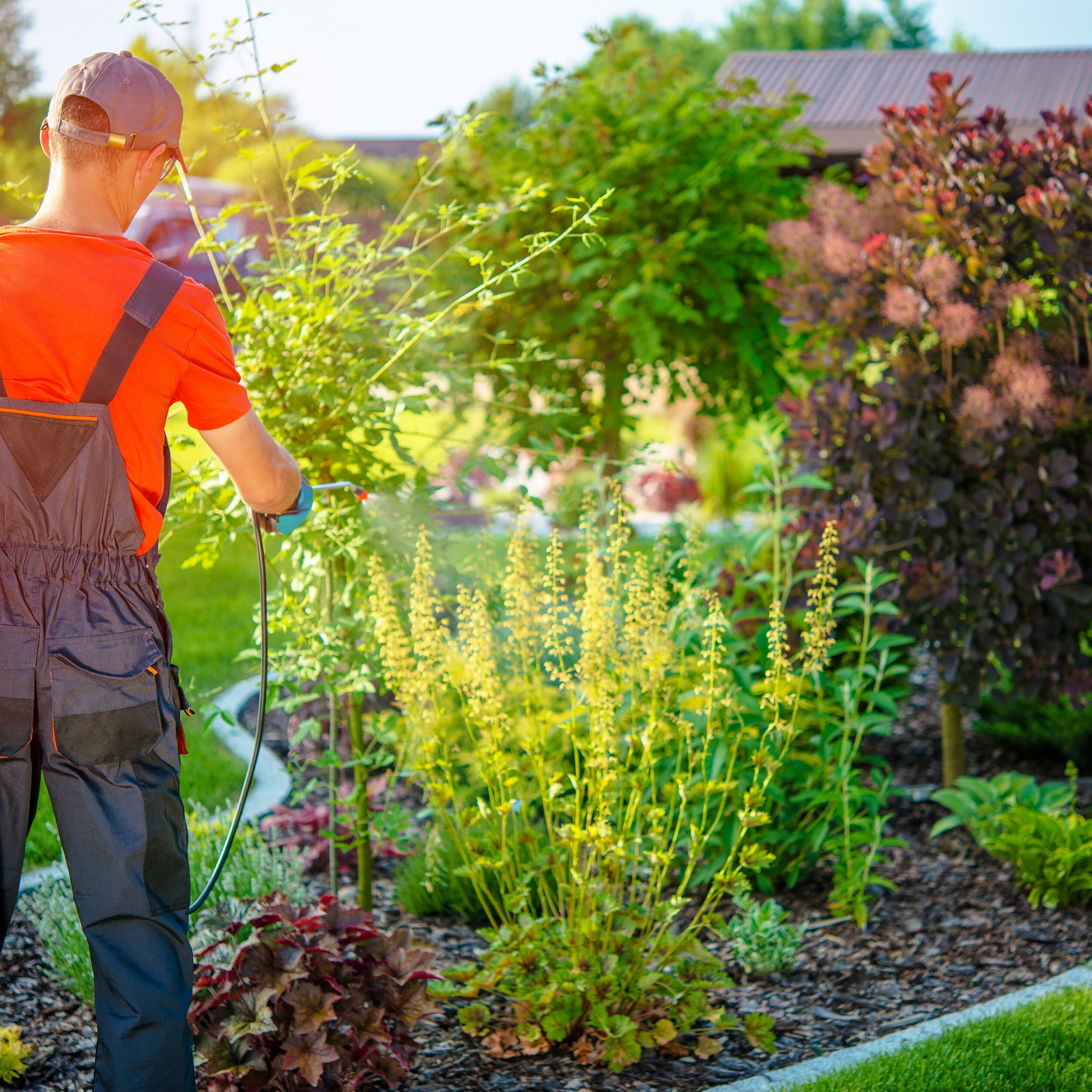 Gardener Daily - Bali Villa Cleaning